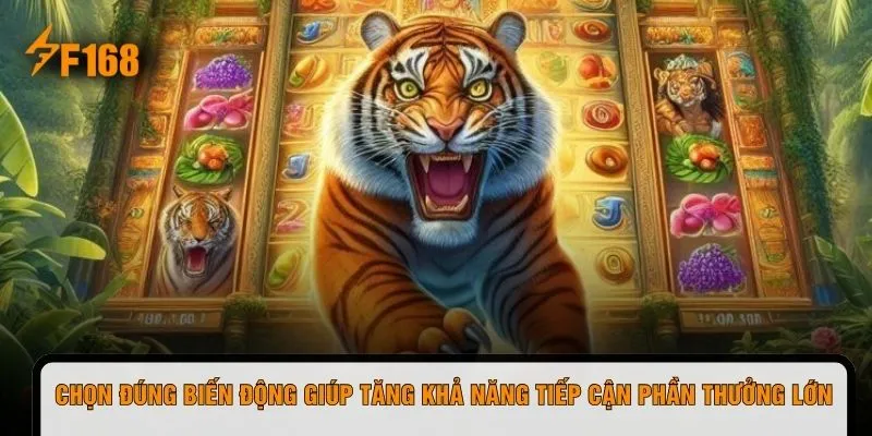 Chọn đúng biến động giúp tăng khả năng tiếp cận phần thưởng lớn
