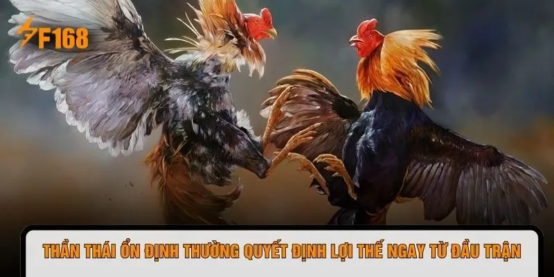 Thần thái ổn định thường quyết định lợi thế ngay từ đầu trận